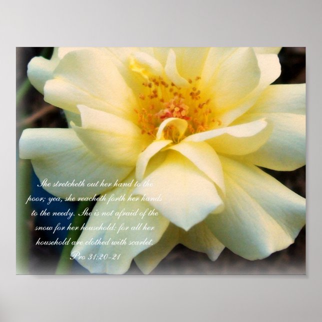 Proverbs 31 Collection ~ Pro 31:20-21 Poster (Front)
