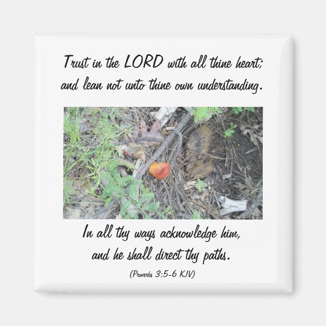 Proverbs 3:5-6 magnet (Front)