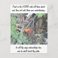 Proverbs 3:5-6