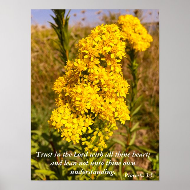 Proverbs 3:5 Bible verse poster (Front)