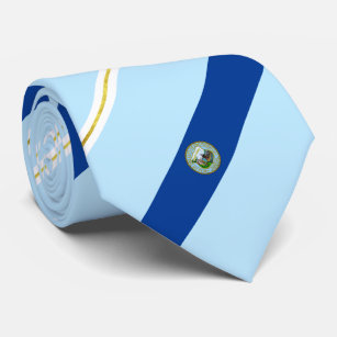 Providence (Rhode Island) city flag Neck Tie