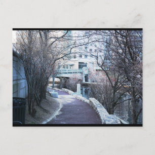 Providence River Walk Postcard