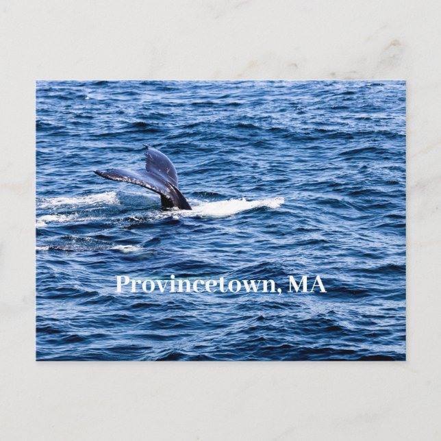 Provincetown Postcard (Front)