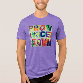 PROVINCETOWN STENCIL PAINTING Tri-Blend SHIRT