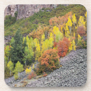 Provo River and aspen trees 10 Coaster