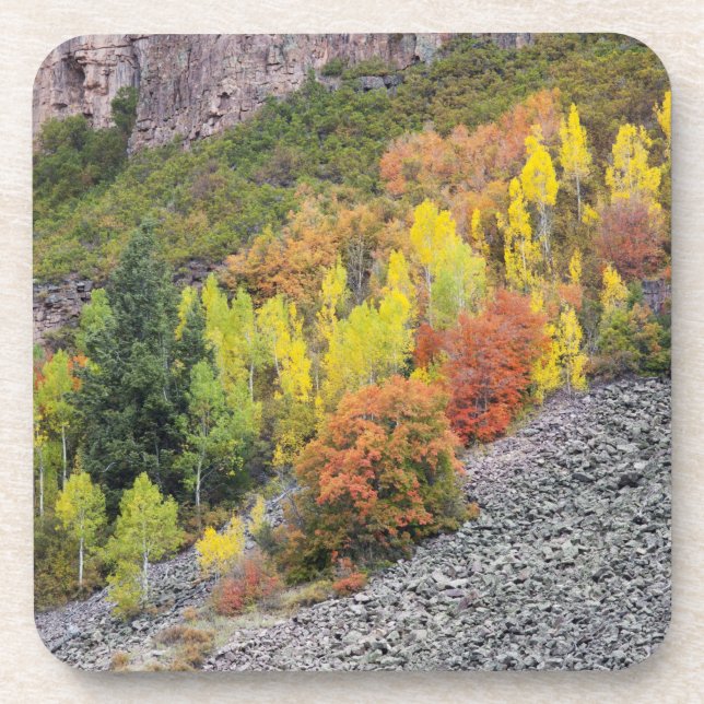 Provo River and aspen trees 10 Coaster (Front)