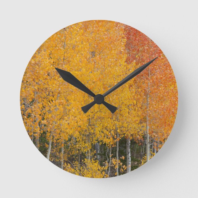 Provo River and aspen trees 13 Round Clock (Front)