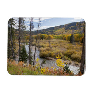 Provo River and aspen trees 5 Magnet