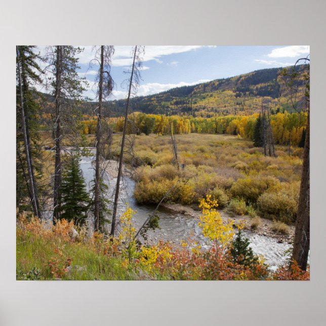 Provo River and aspen trees 5 Poster (Front)