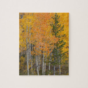 Provo River and aspen trees 7 Jigsaw Puzzle