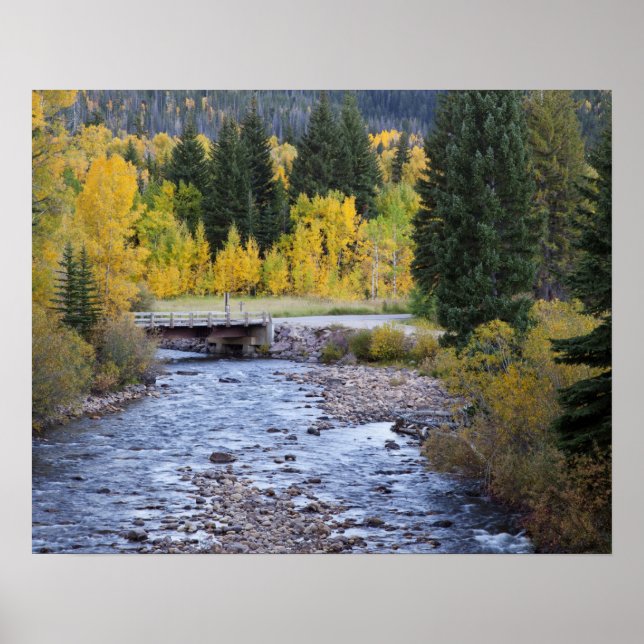 Provo River and aspen trees 8 Poster (Front)