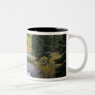 Provo River and aspen trees 8 Two-Tone Coffee Mug