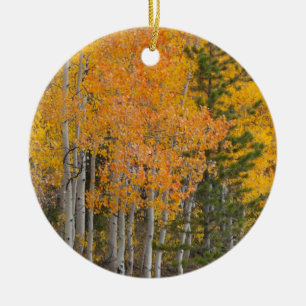 Provo River and aspen trees Ceramic Tree Decoration