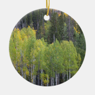Provo River and aspen trees Ceramic Tree Decoration