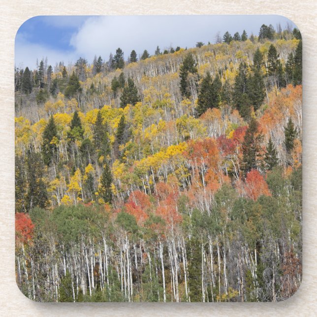 Provo River and aspen trees Coaster (Front)