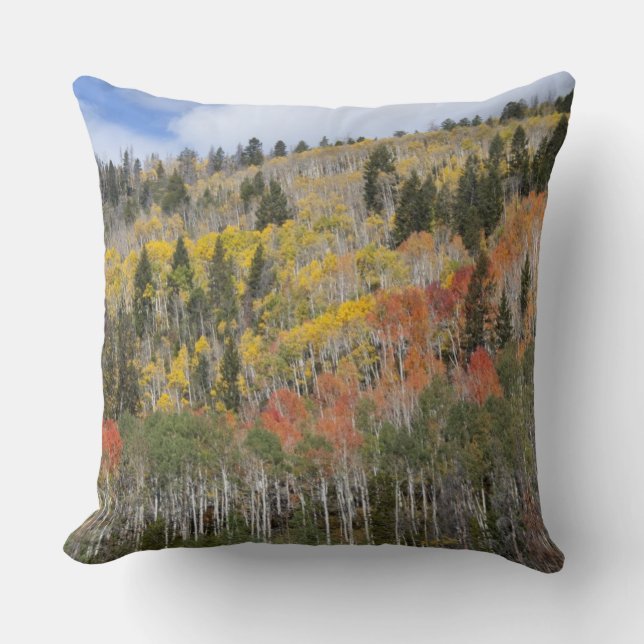 Provo River and aspen trees Cushion (Front)