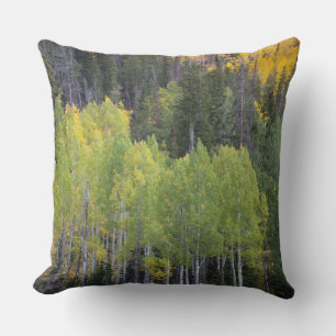 Provo River and aspen trees Cushion