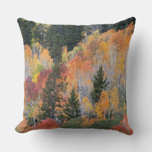 Provo River and aspen trees Cushion