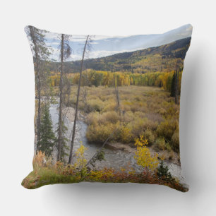 Provo River and aspen trees Cushion