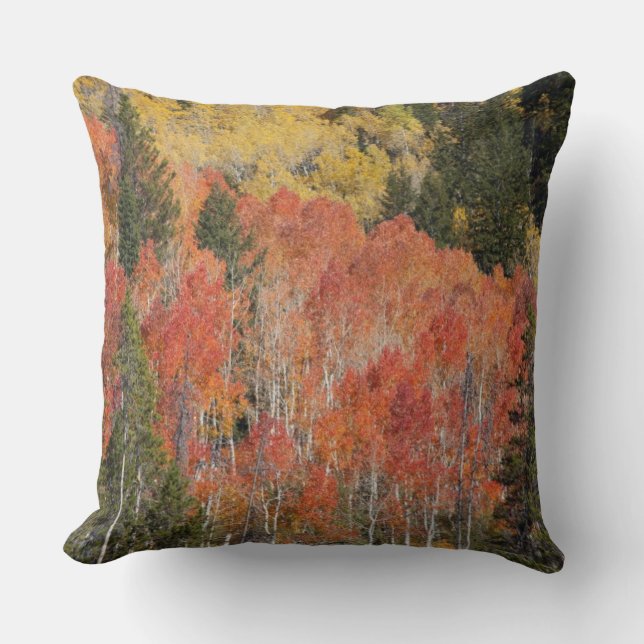 Provo River and aspen trees Cushion (Front)