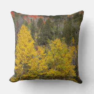 Provo River and aspen trees Cushion