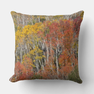 Provo River and aspen trees Cushion