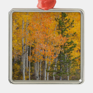 Provo River and aspen trees Metal Tree Decoration