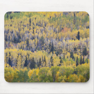 Provo River and aspen trees Mouse Pad