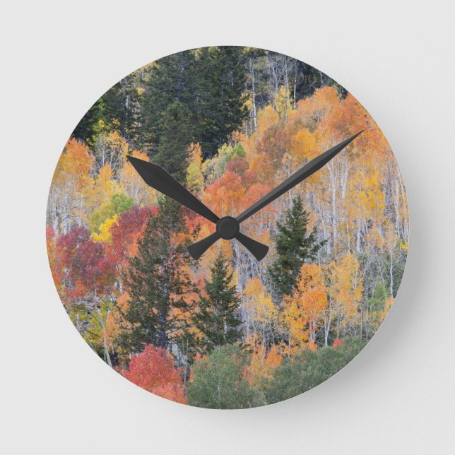 Provo River and aspen trees Round Clock (Front)