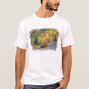 Provo River and aspen trees T-Shirt