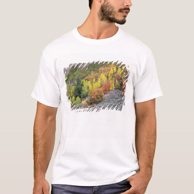 Provo River and aspen trees T-Shirt (Front)