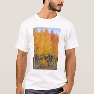 Provo River and aspen trees T-Shirt