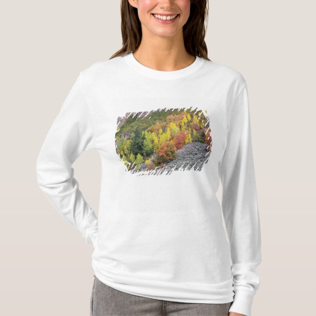 Provo River and aspen trees T-Shirt (Front)