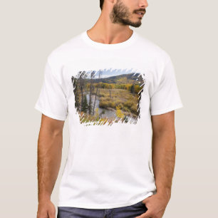 Provo River and aspen trees T-Shirt