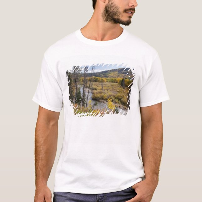 Provo River and aspen trees T-Shirt (Front)