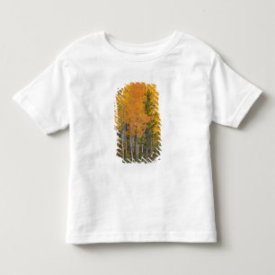 Provo River and aspen trees Toddler T-Shirt