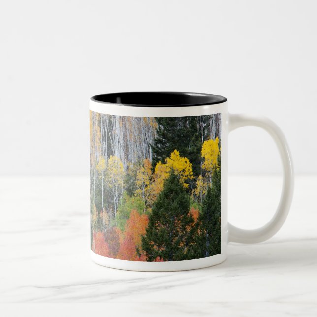 Provo River and aspen trees Two-Tone Coffee Mug (Right)