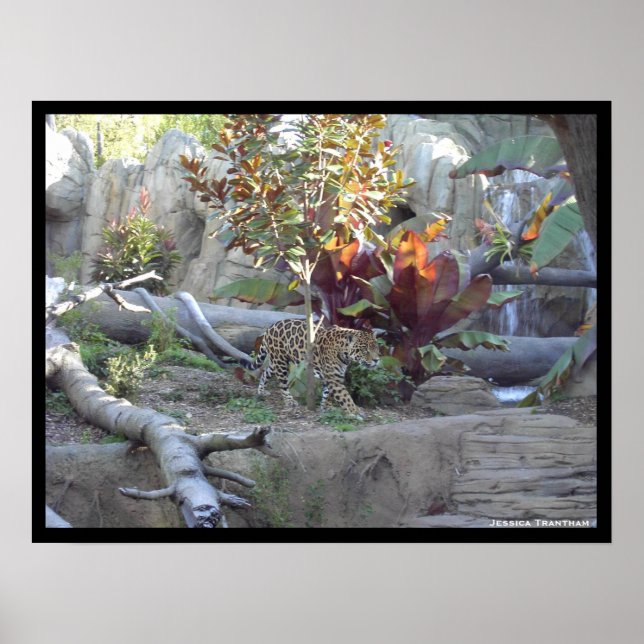 Prowl Poster (Front)