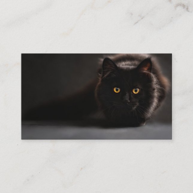 Prowling Black Cat Business Card (Front)