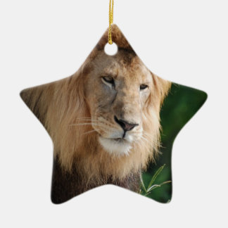 Prowling Lion Ceramic Tree Decoration
