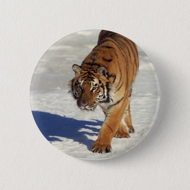 Prowling Tiger 6 Cm Round Badge (Front)