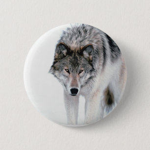 Prowling Wolf 6 Cm Round Badge