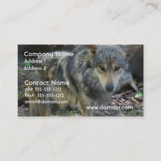 Prowling Wolf Business Cards