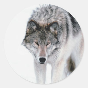 Prowling Wolf Classic Round Sticker