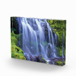 Proxy Falls in Oregon's Central Cascade Mountains Photo Block