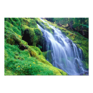Proxy Falls in the central Oregon Cascades. Photo Print