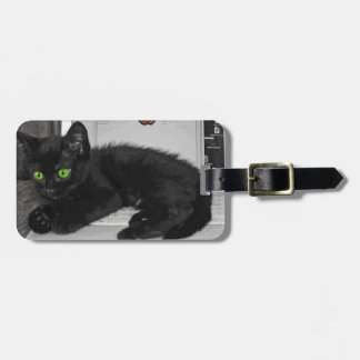 Prunella black cat lounging on laptop luggage tag