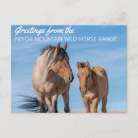 Pryor Mountain Wild Horse Range
