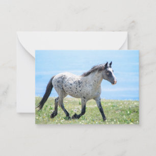 Pryor Mountain Wild Mustang Mica/Mato Ska Card