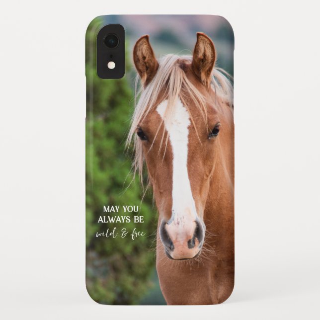 Pryor Mountain Wild Mustang "Ventura" Case-Mate iPhone Case (Back)